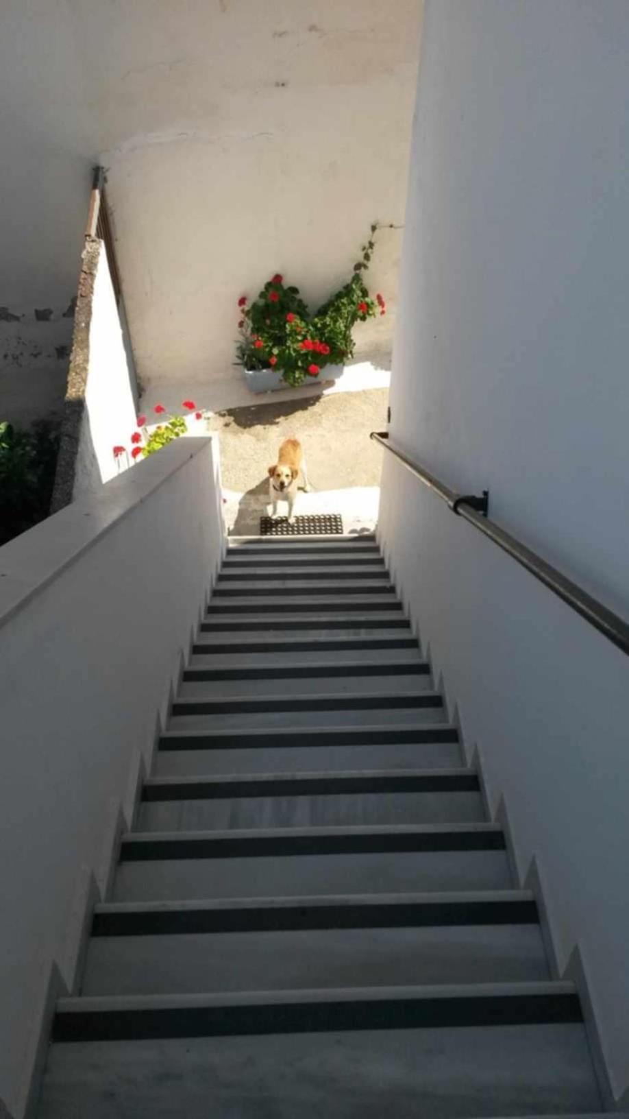 Kostas Studios Apartments - Ενοικιαζόμενα Δωμάτια Με Κουζινάκι ميرينا المظهر الخارجي الصورة